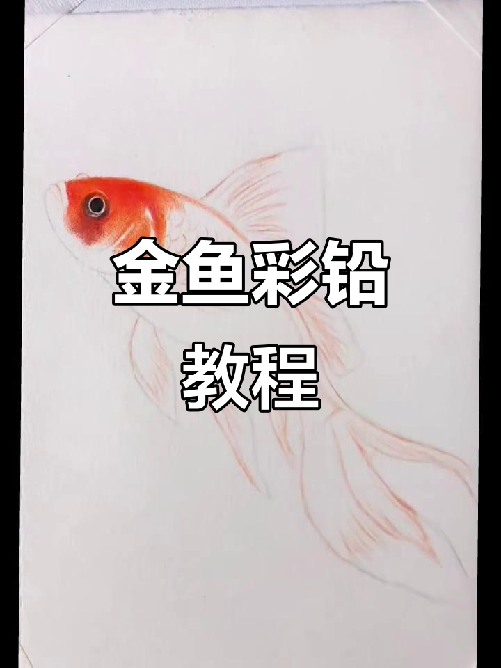 彩铅画金鱼，简单又美丽！零基础也能学会