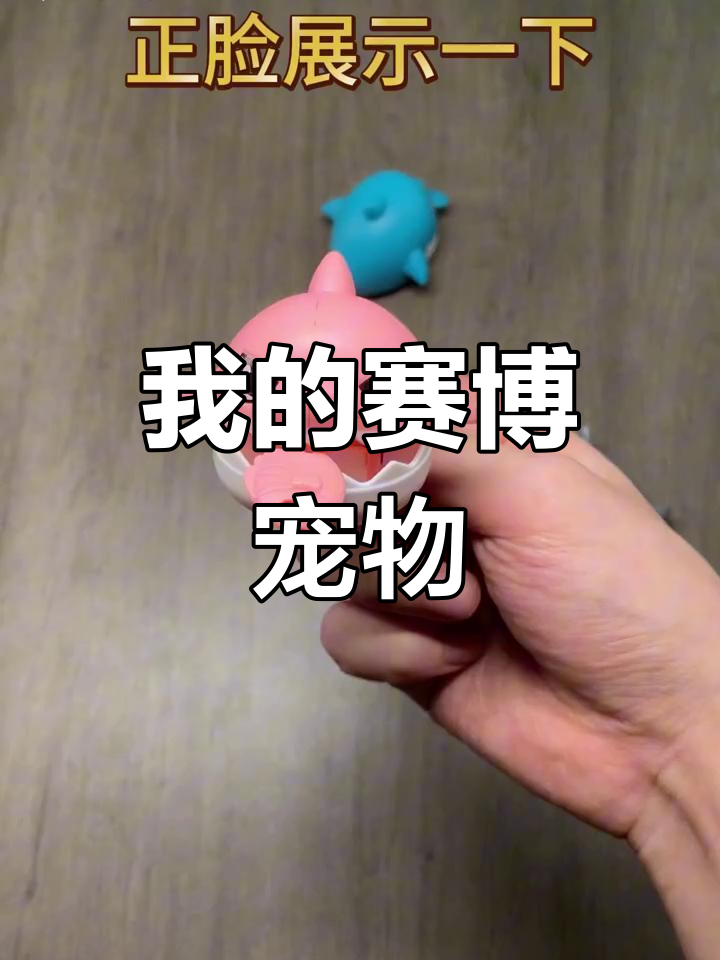 贪吃小鲨鱼,萌态十足