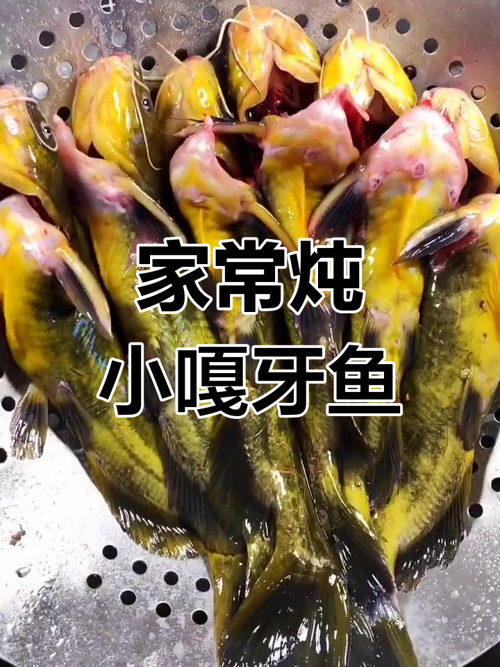 野生嘎牙鱼家常炖法,简单又美味
