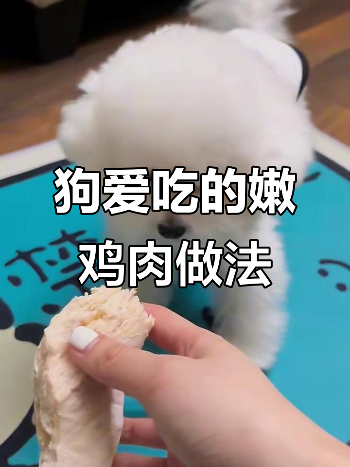 鸡胸肉这样煮,狗狗吃得超开心