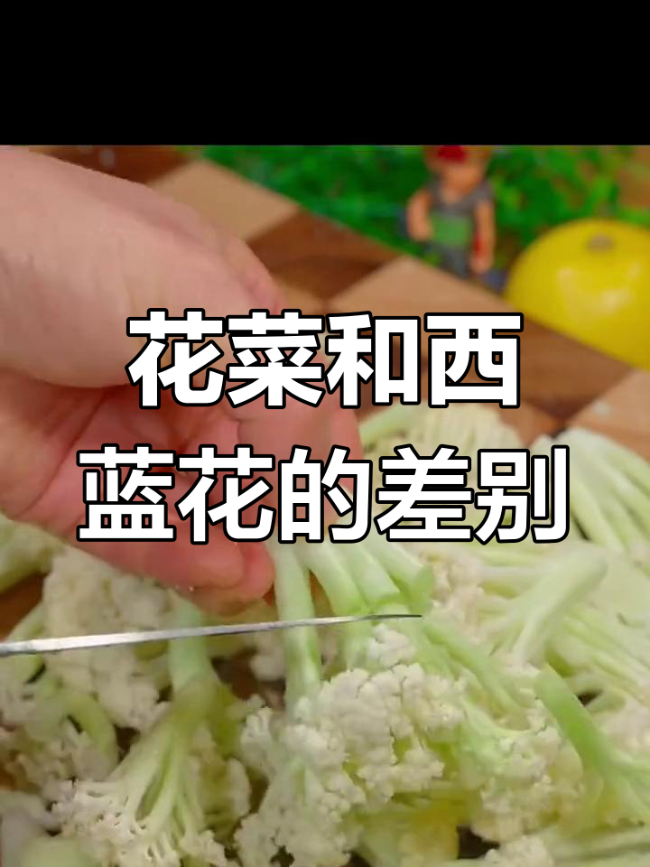 痛风患者能吃花菜吗?西兰花的区别你得知道