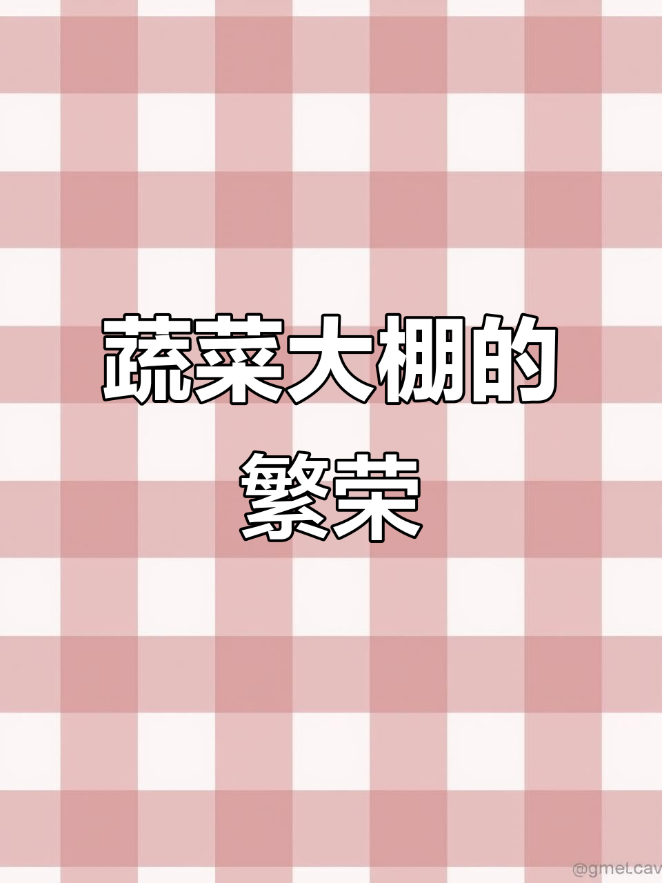 长白县大棚蔬菜繁茂，产业兴旺带来丰收与希望