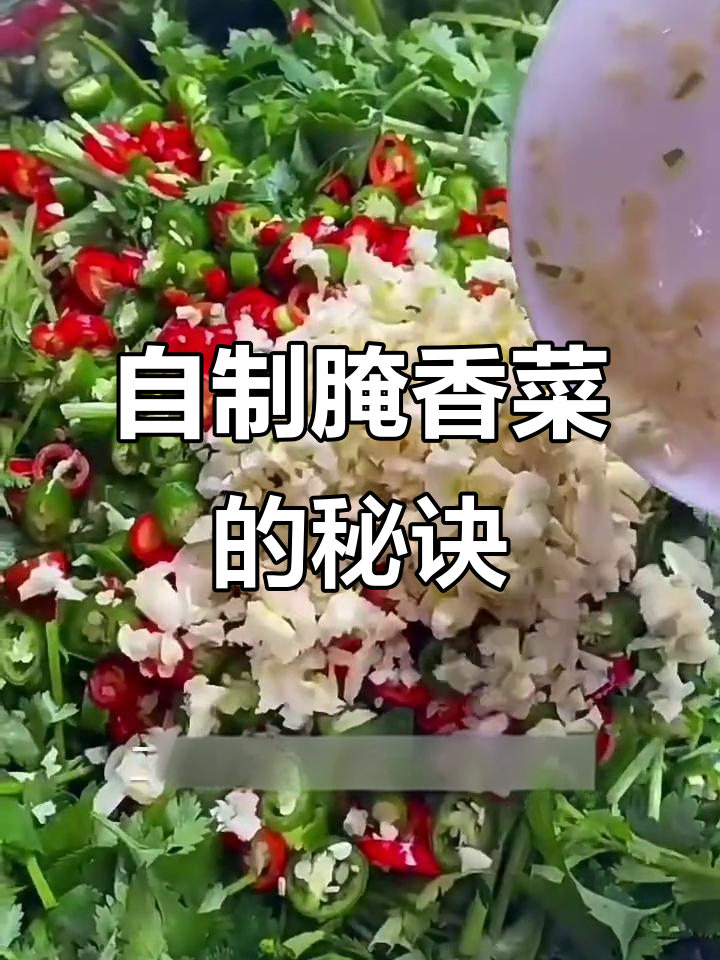 家庭自制腌香菜,简单又美味!