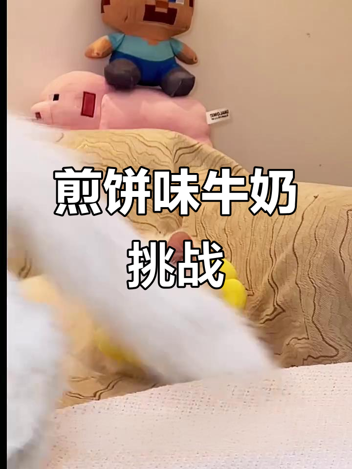 鸭肉面包圈与煎饼牛奶的奇葩组合,猫咪们的迷惑行为大赏