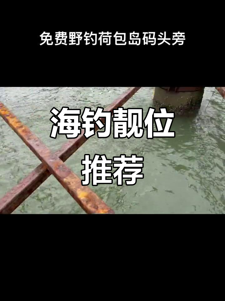 荷包岛码头钓鱼点,海鱼满满等你来挑战