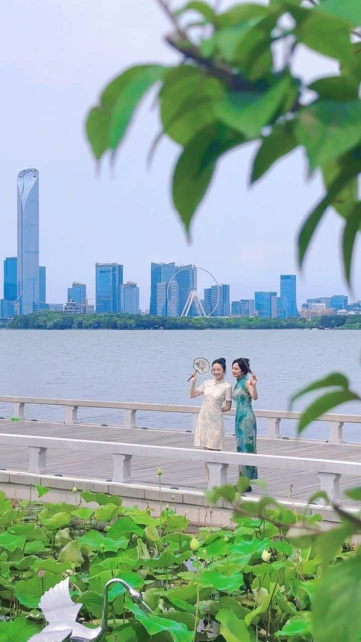 美到失语的江南荷花宴!唯一缺点:只有苏州有