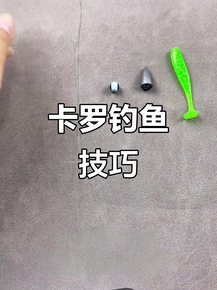 钓了半天没收获?试试卡罗钓组,轻松应对各种鱼类