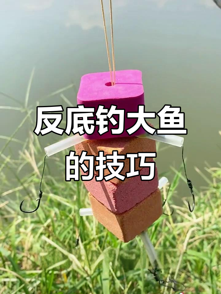 海竿反底钓法全解析,轻松捕捉鲢鳙鲤草青鱼