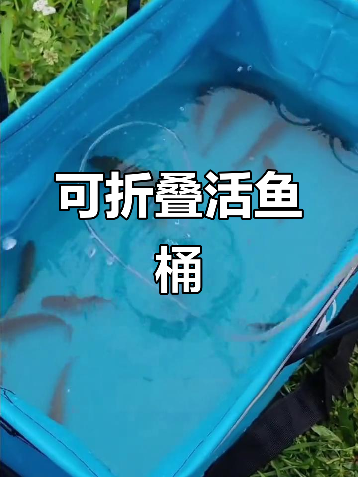 钓鱼必备!可折叠活鱼桶,轻松带回家不漏水