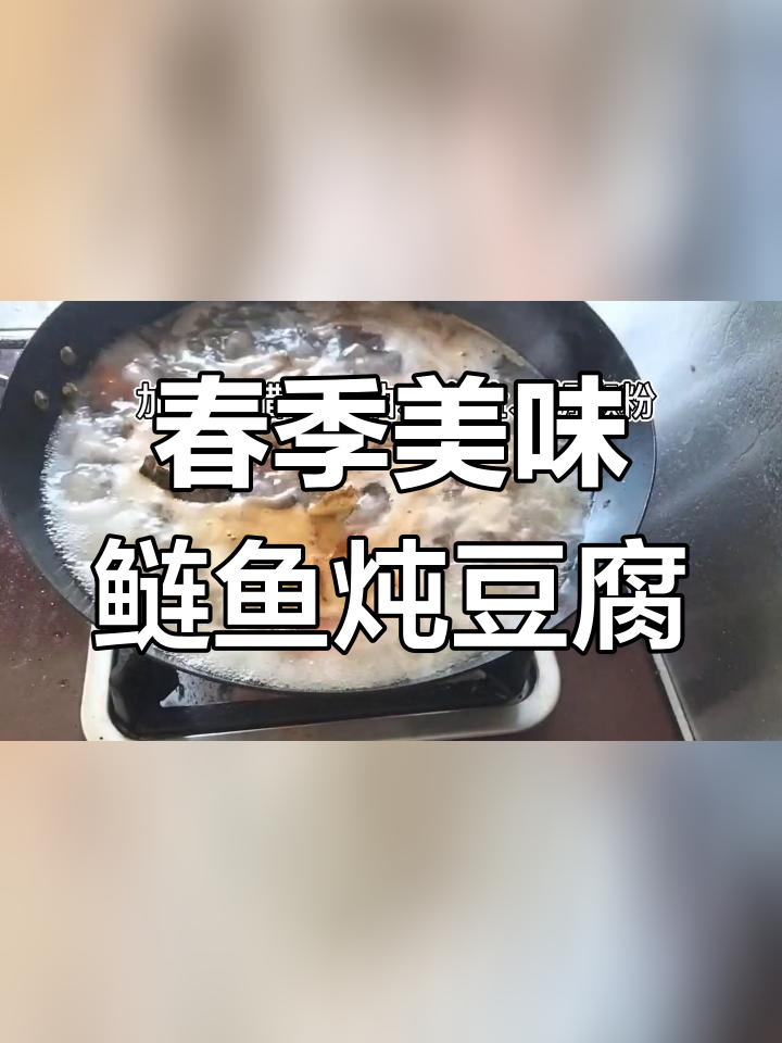 春天必试的野生鲢鱼炖豆腐,鲜美至极