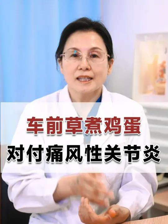 车前草煮鸡蛋,对付痛风性关节炎