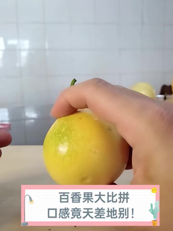 百香果大比拼,口感竟天差地别!