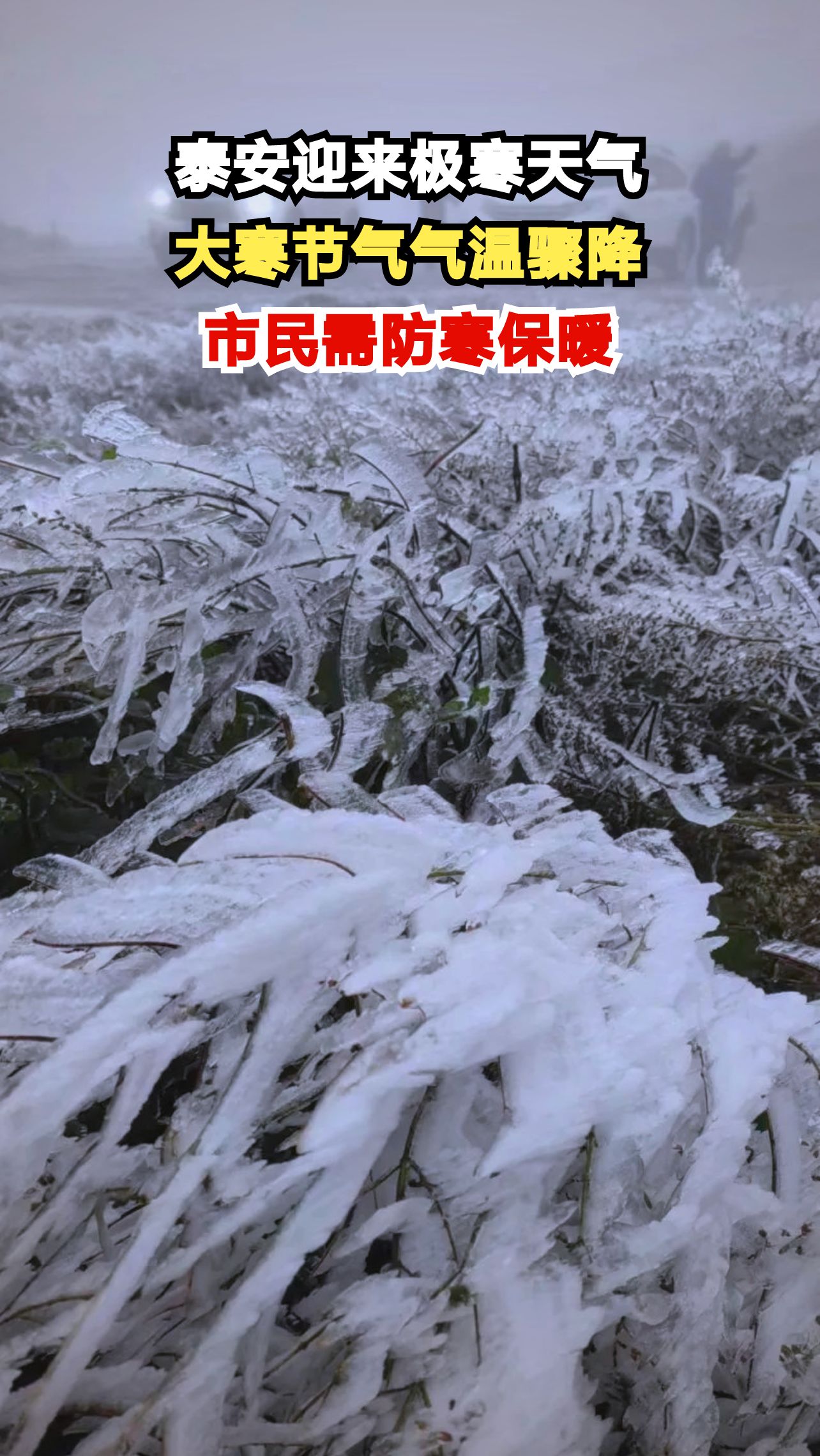 泰山突降暴雪气温跌破零下12度,游客惊呼太震撼了