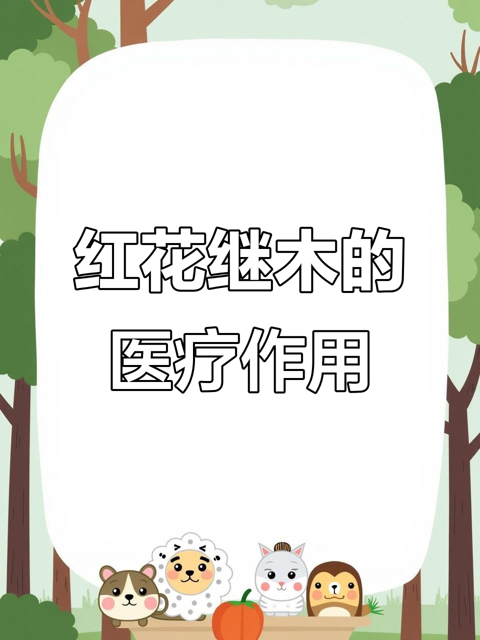 小寒时节,红花继木的药用功效与庭院应用