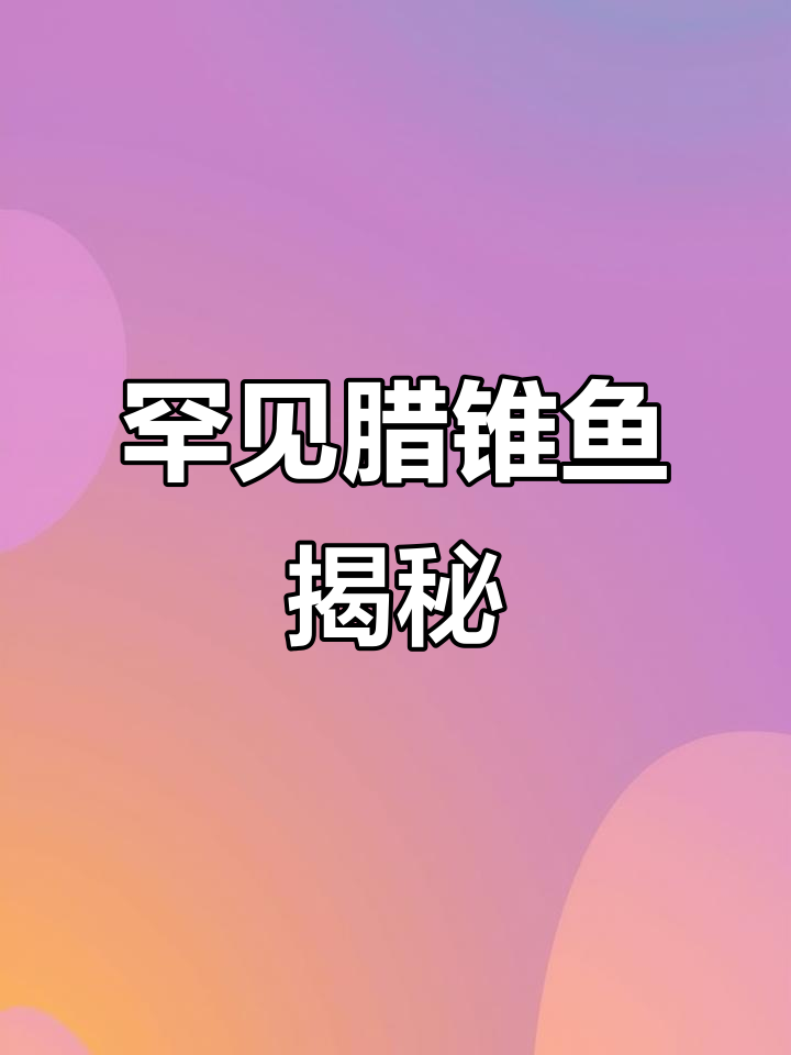 稀有野生腊锥鱼,细长尖嘴背刺惊人,捕捉难度极高