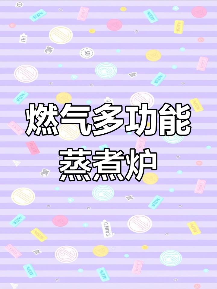 多功能蒸煮炉试火,确保客户收到后能正常使用