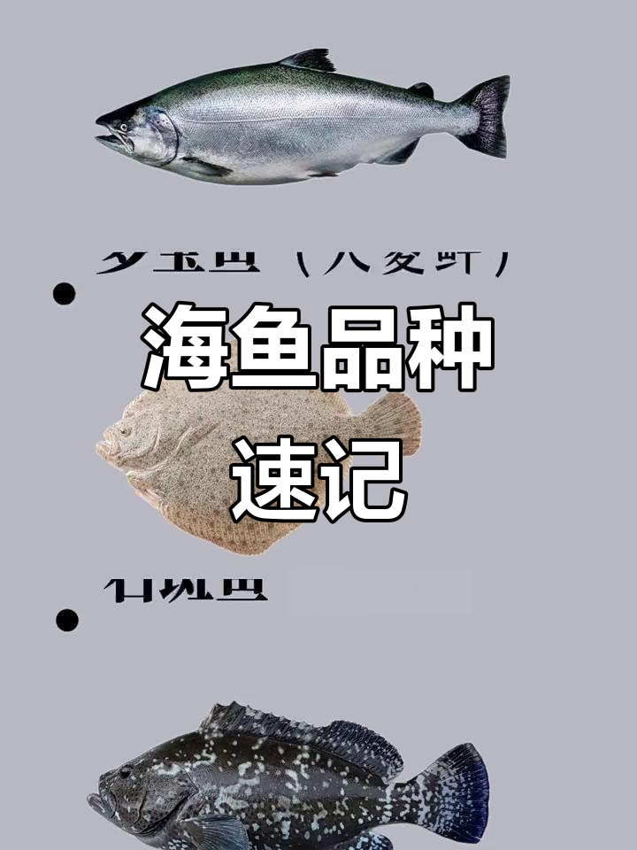 常见海鱼品种大揭秘，10秒掌握！