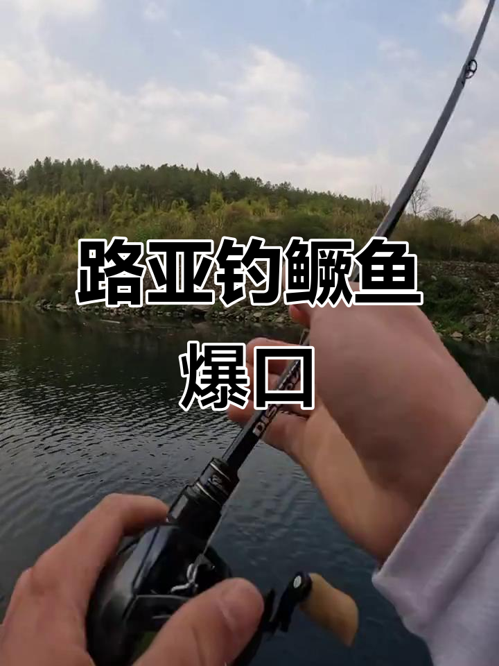 钓鳜鱼连杆,手感超爽!路亚假饵技巧大揭秘