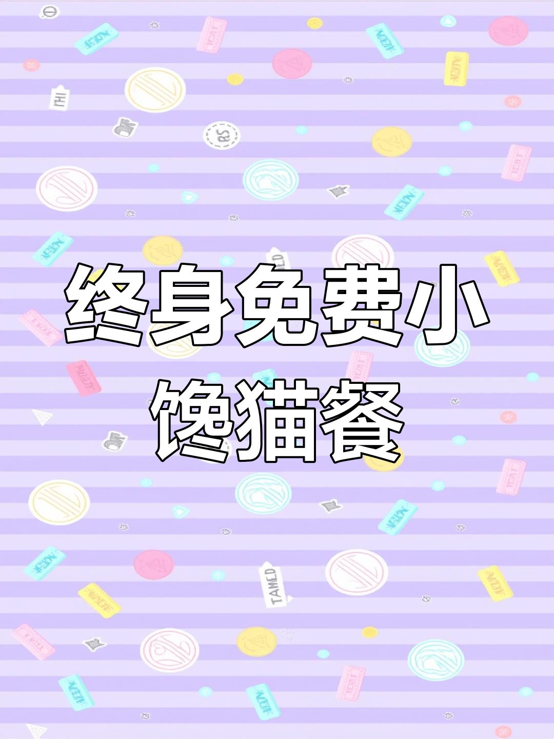 小馋猫烤肉拌饭,饿了随时吃!VIP待遇享不停