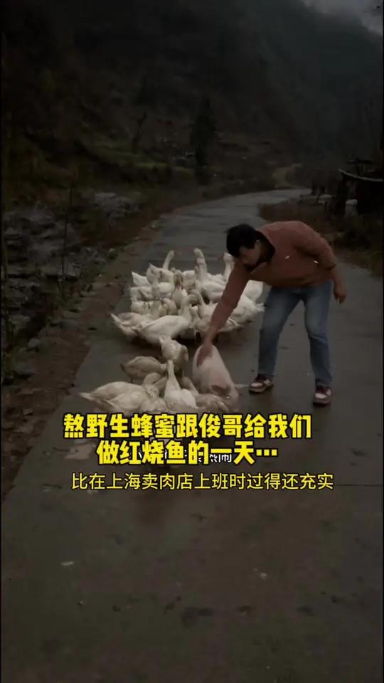 远嫁大山里一天真实的生活……