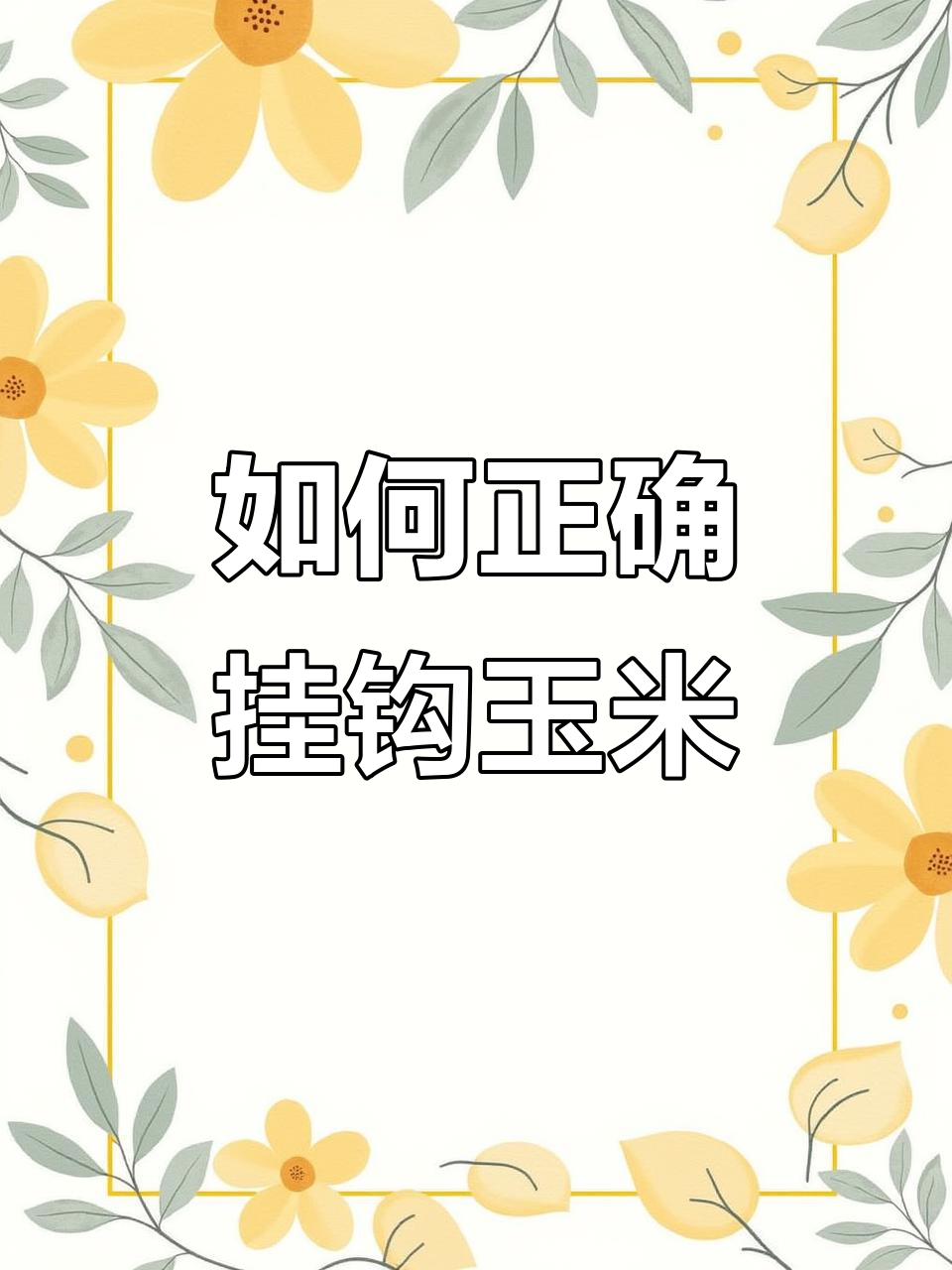 玉米挂钩技巧大揭秘,如何正确挂才能钓到更多鱼?