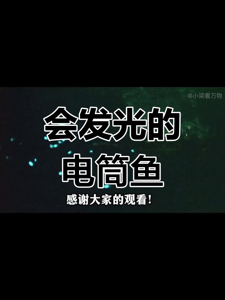 深海中的发光鱼,四种模式随心切换