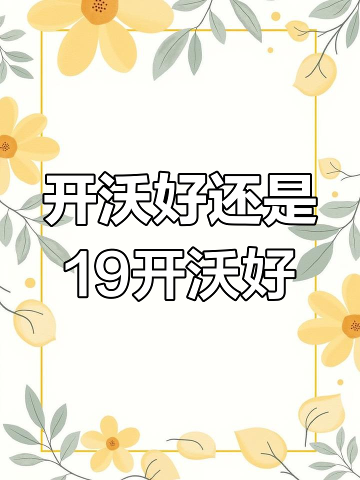 武汉公交开沃与19开沃,你选哪款?