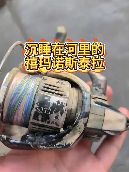 河里钓到价值3千多的禧玛诺斯泰拉纺车轮,给他修好会是什么样?禧玛诺纺车轮渔轮保养纺车轮维修