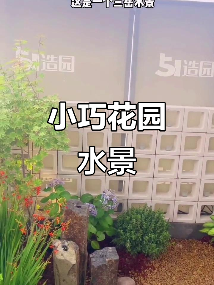 精致花园水景设计,涌泉与微景观的完美结合