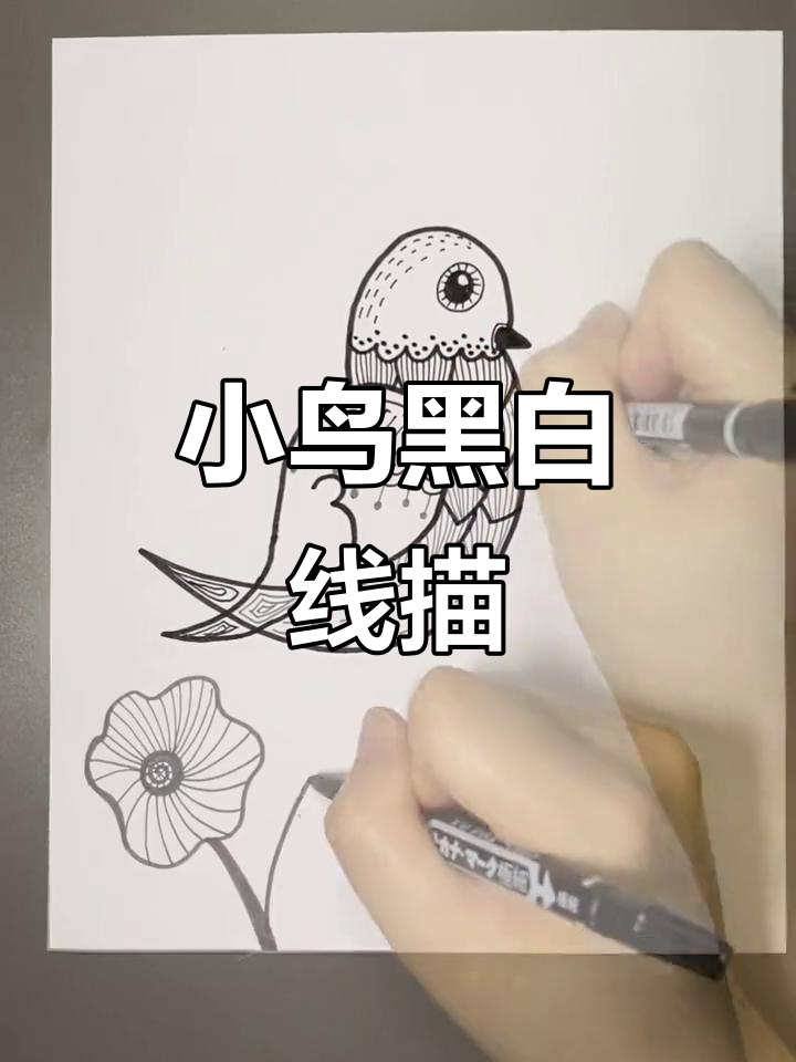 一笔就能画出小鸟黑白装饰画,简单又有趣