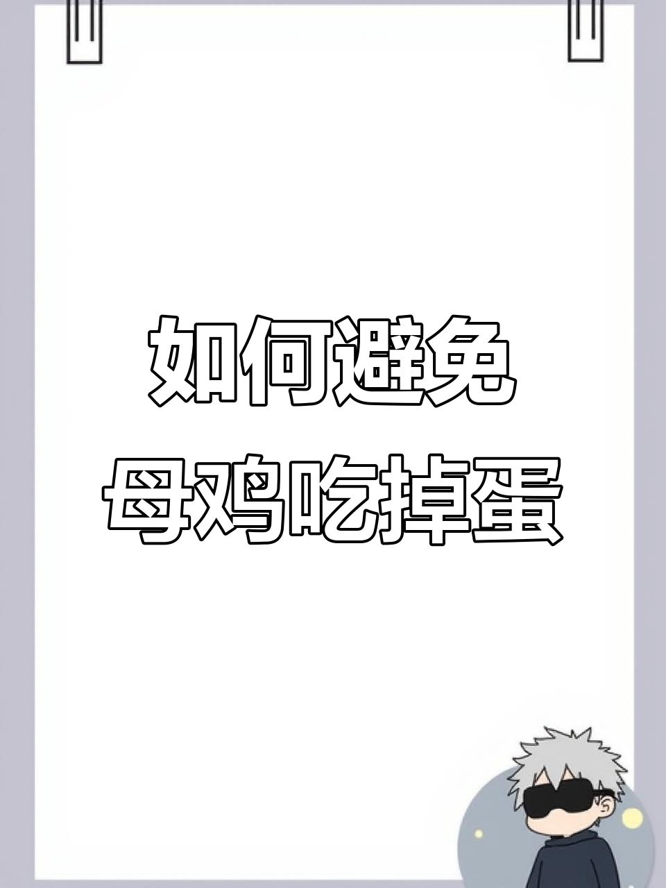 母鸡吃鸡蛋怎么办?营养补充有妙招