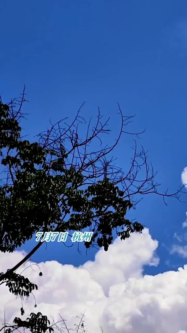 今日小暑,湛蓝的天空像奶油泡芙一般的云朵 这是盛夏的味道