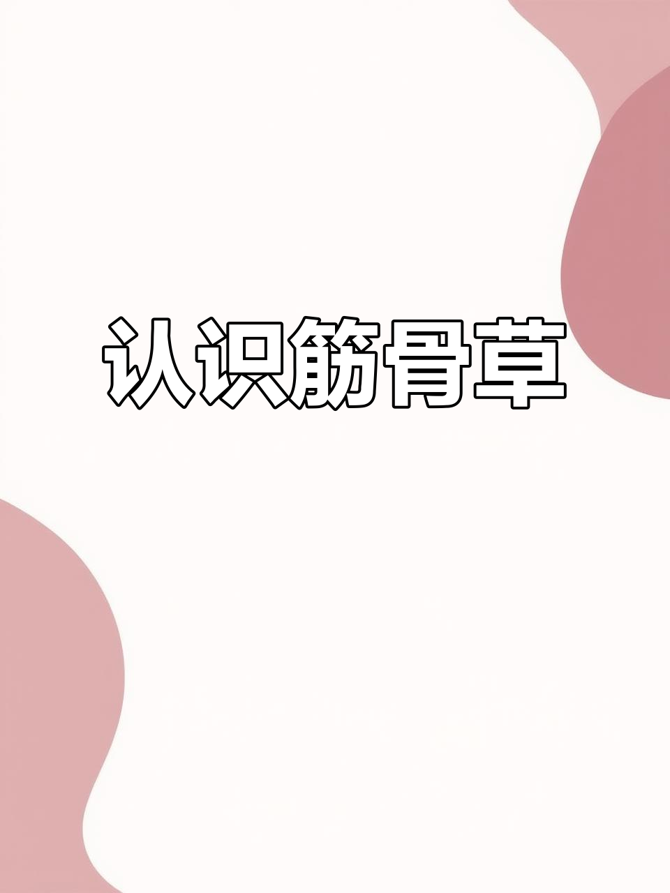 筋骨草:农村常见中草药,了解它的功效与作用