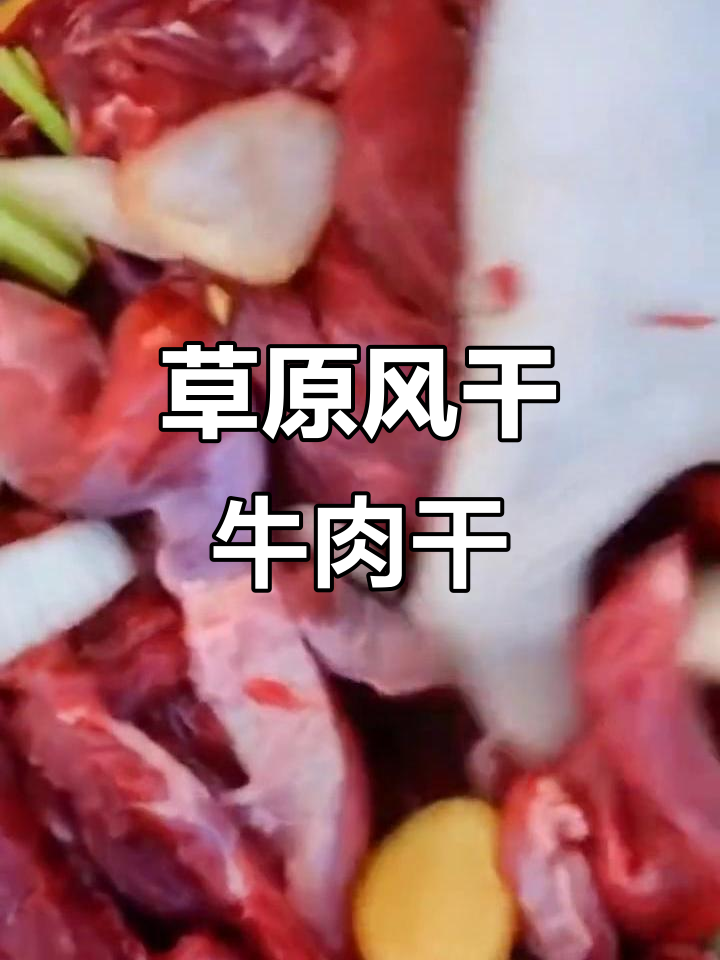 内蒙古正宗草原风干牛肉,肉丝满满超有嚼劲
