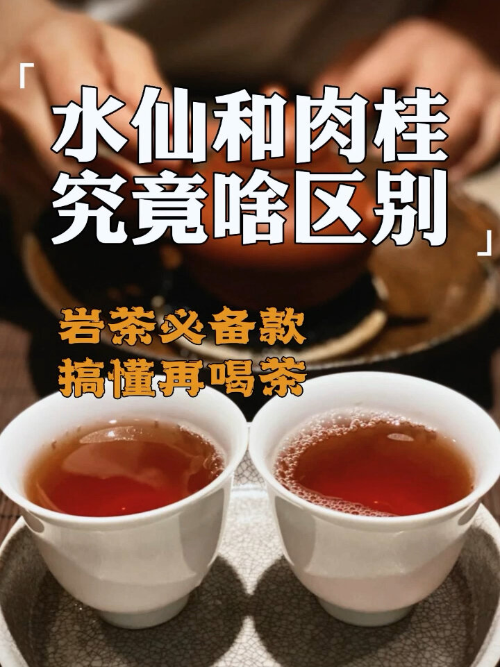 水仙和肉桂究竟有什么区别