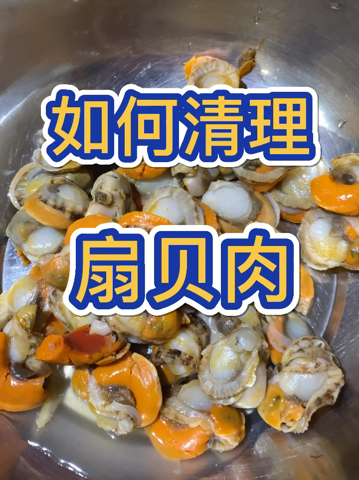 你会清理扇贝肉吗?我来教教你