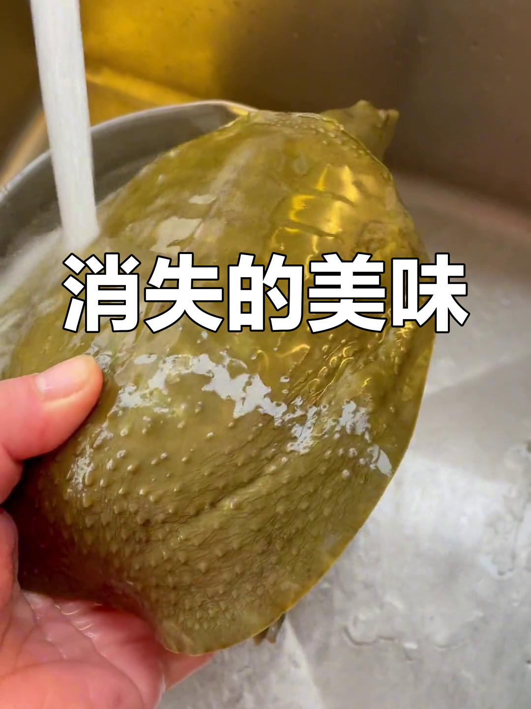荷叶蒸水鱼,曾是经典美味,如今已难寻
