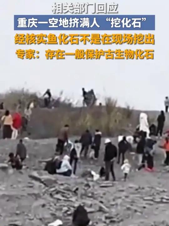 相关部门回应重庆一空地挤满人“挖化石”:经核实鱼化石不是在现场挖出,专家:存在一般保护古生