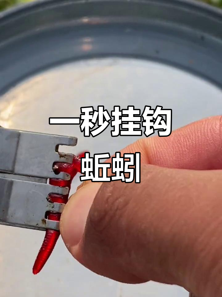 钓鱼必备!一秒挂蚯蚓,轻松上钩不脏手