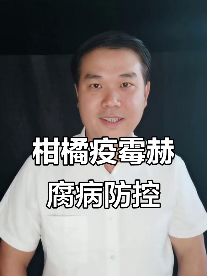 柑橘疫霉褐腐病防治全攻略,效果立竿见影