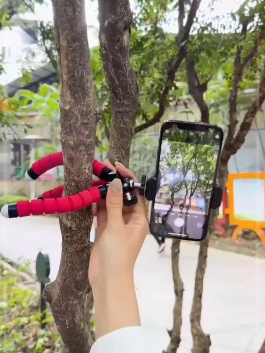 多角度,不同场景的拍照方法!教你一招拍摄技巧,轻松拍出旅行大片!简单易学 手机摄影 八爪鱼