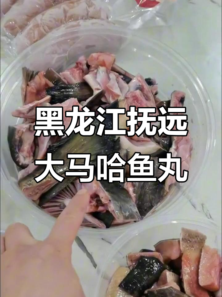 黑龙江抚远大马哈鱼丸制作揭秘,如何做正宗的马哈鱼血肠
