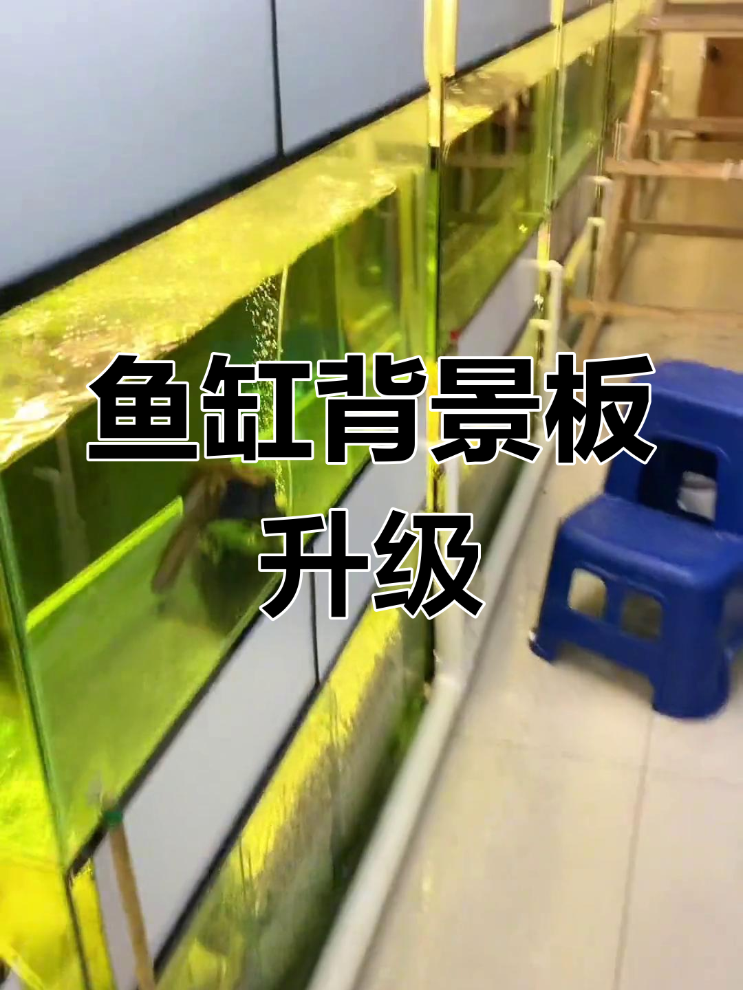 鱼缸背景板大变身,黑白相映更自然