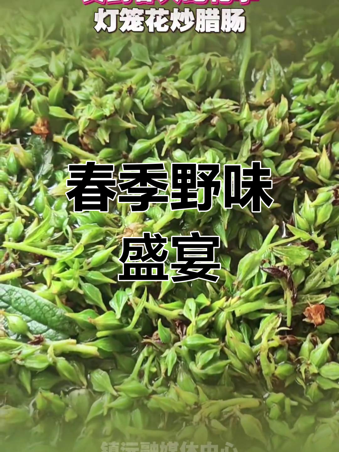 春日野菜上市,炒腊肉香气扑鼻,让人陶醉