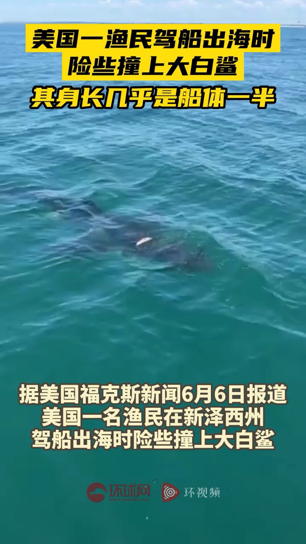 「惊险!美国一渔民驾船出海时险些撞上大白鲨,其身长几乎是船体一半」据美国福克斯新闻当地时间