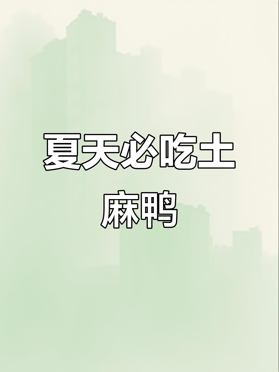 湖南土麻鸭酱板鸭,夏季必备美味!