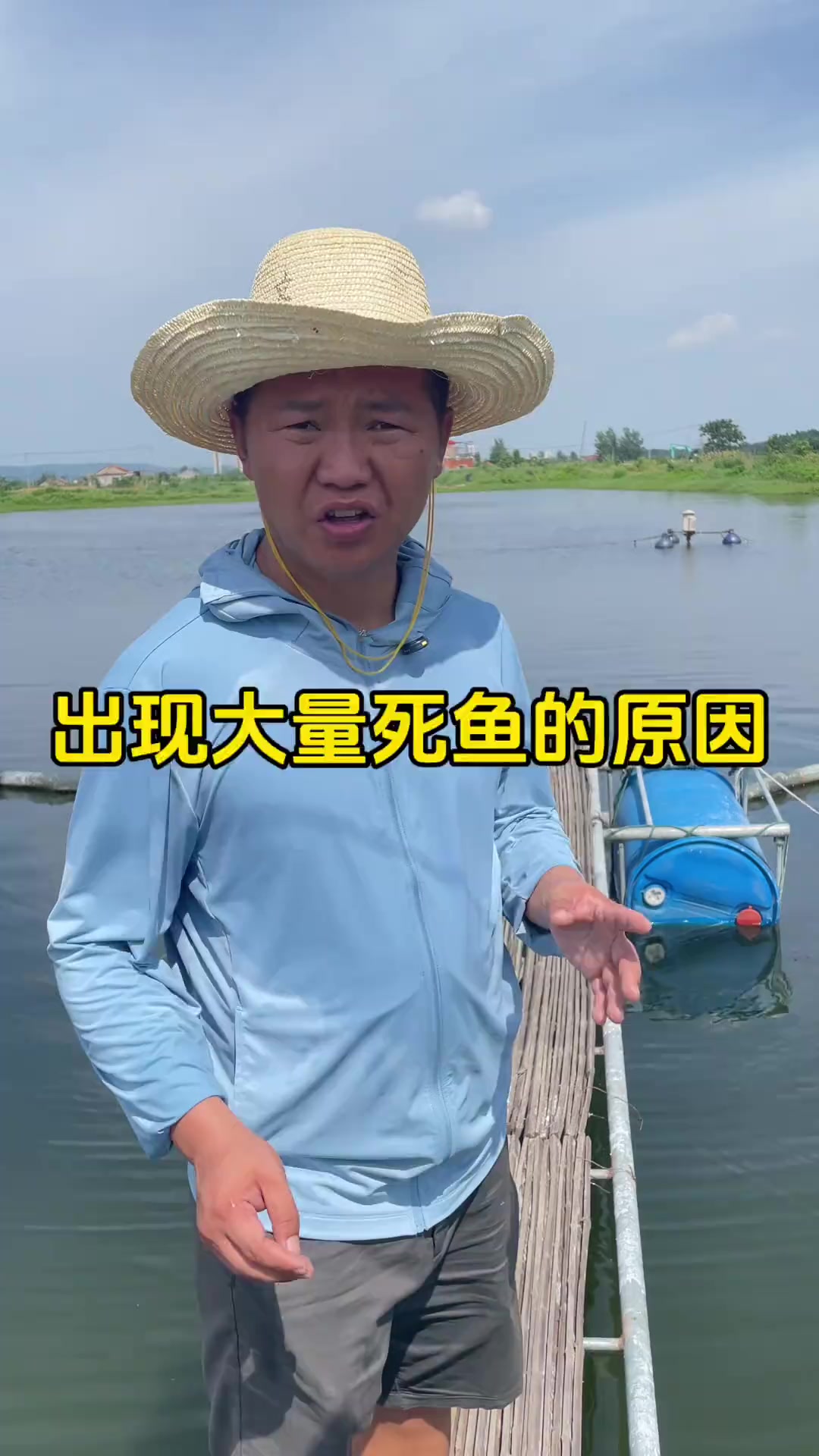 高温天鱼塘死鱼的原因