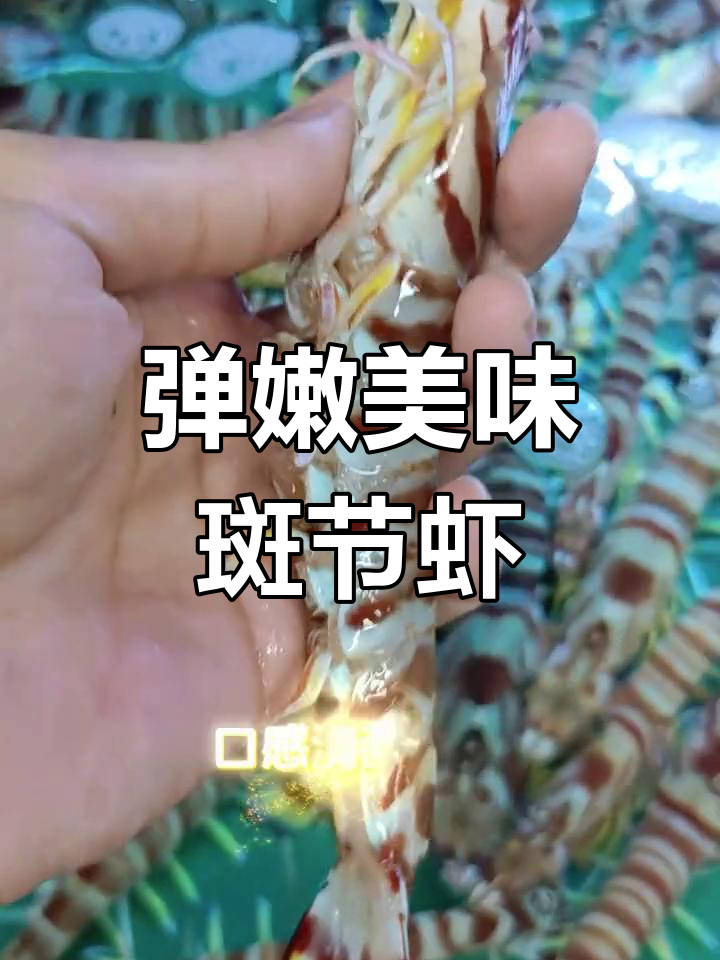 口感鲜美,海捕斑节虾来袭
