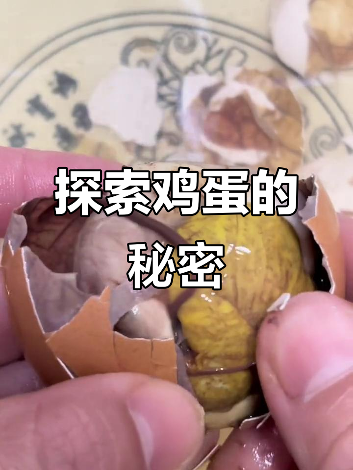 揭秘鸡蛋内部结构,原来蛋黄这么有嚼劲!