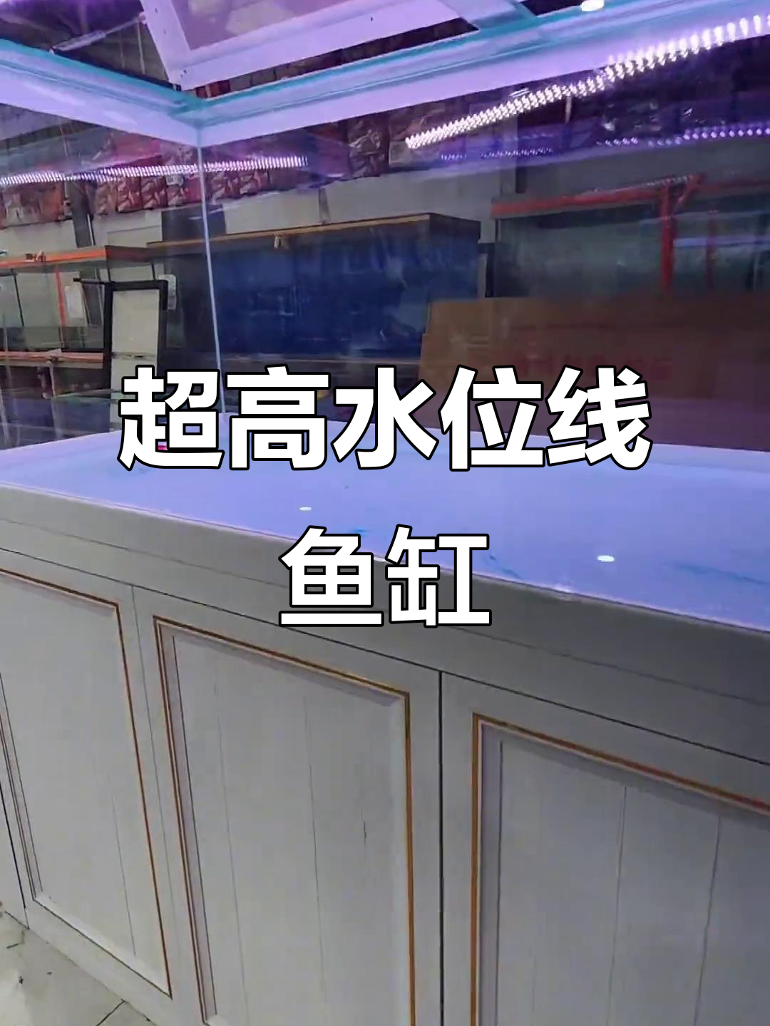 定制鱼缸大揭秘,静音过滤与超强干湿分离设计